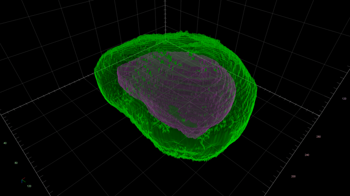 63936ab84891cf1f059f0d59_organoid_3_3D_image_landscape