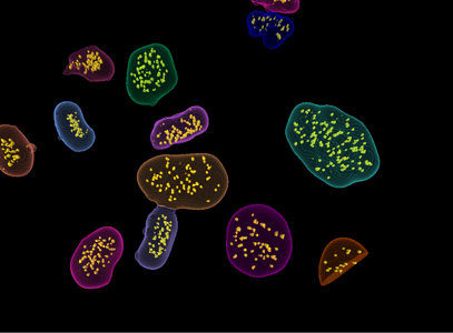 63e37cd279be5130e2cf6efd_3D Analysis-1