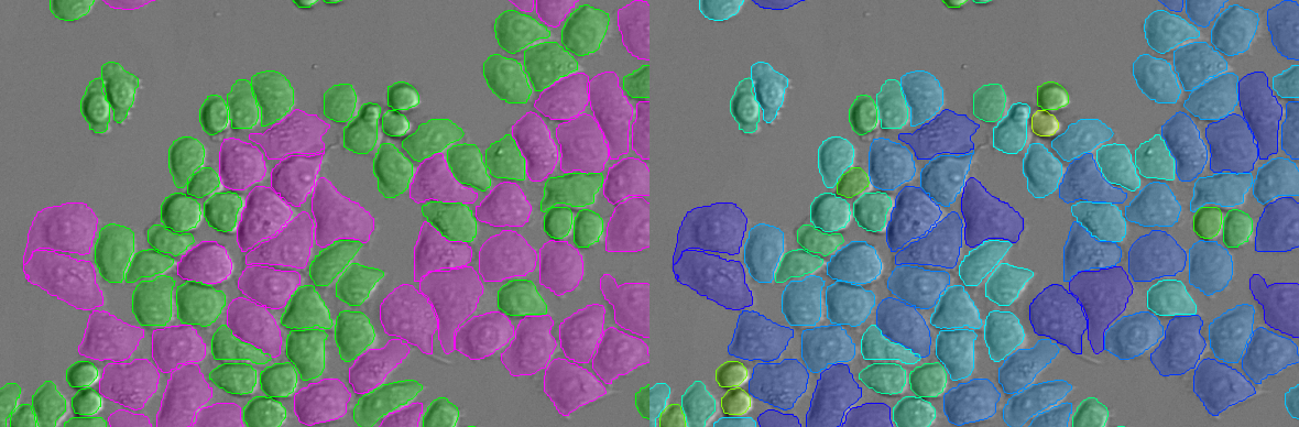 649d49d8364eeb54ae2b0cc8_Crop_semented_size_sphericity