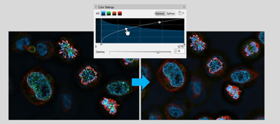 arivisVision4D-color-setting2-min