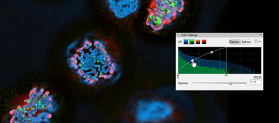 arivisVision4D-color-setting4-min