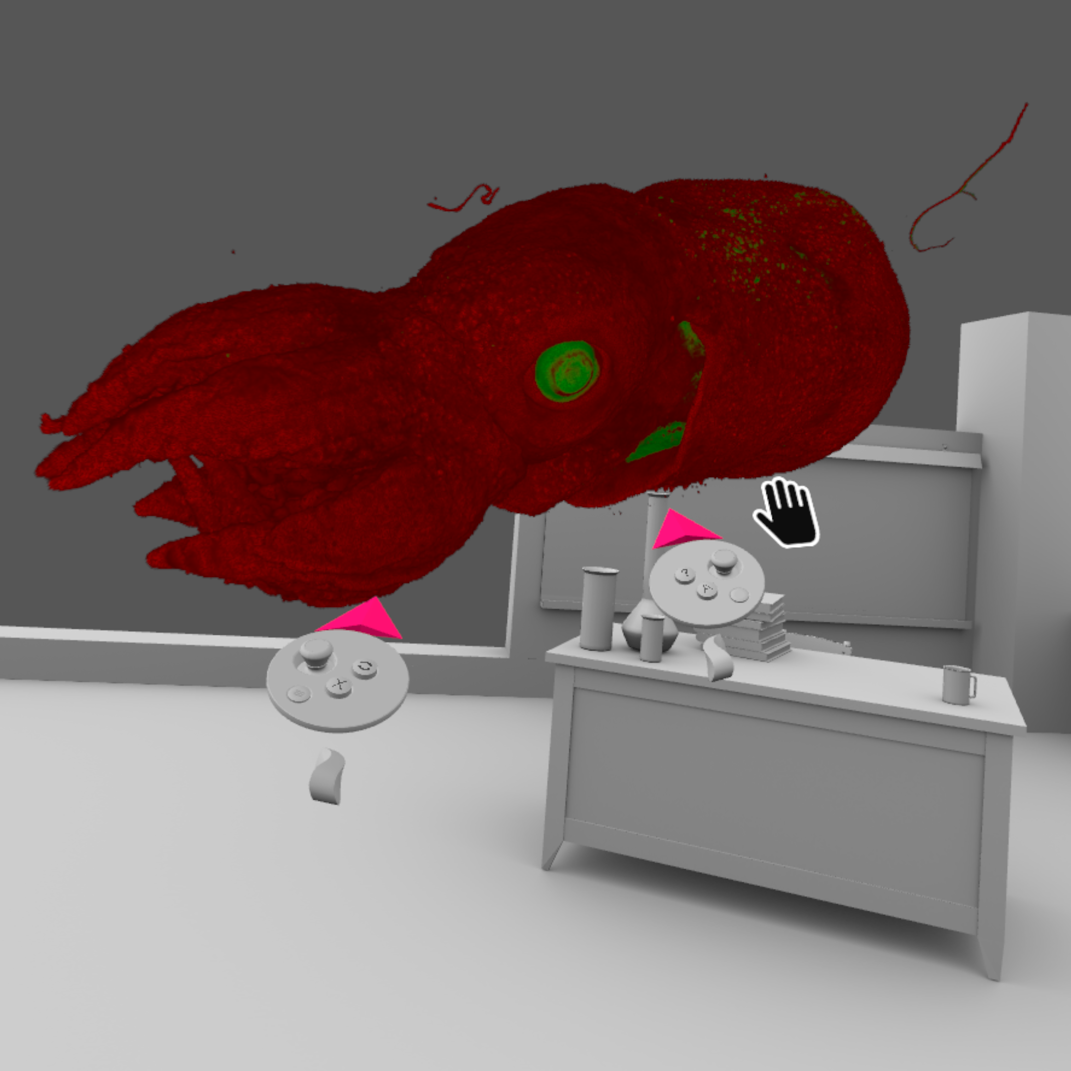 VR view