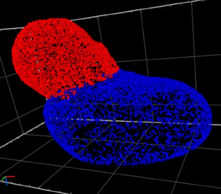 ai-image-analysis-NPC-density