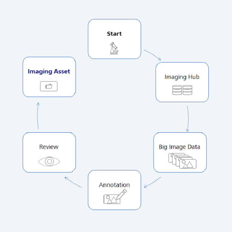 Image annotation workflow