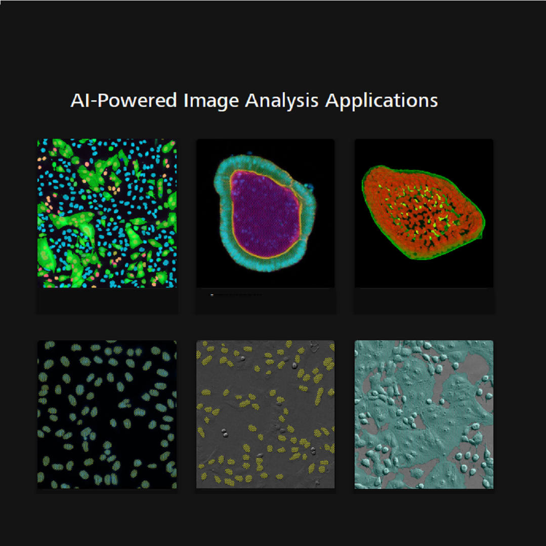 AI image analysis for diverse applications