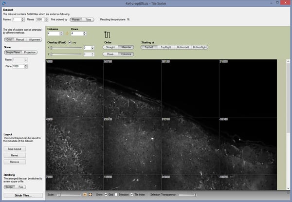 arivis Vision4D-Tile-Sorter screenshot