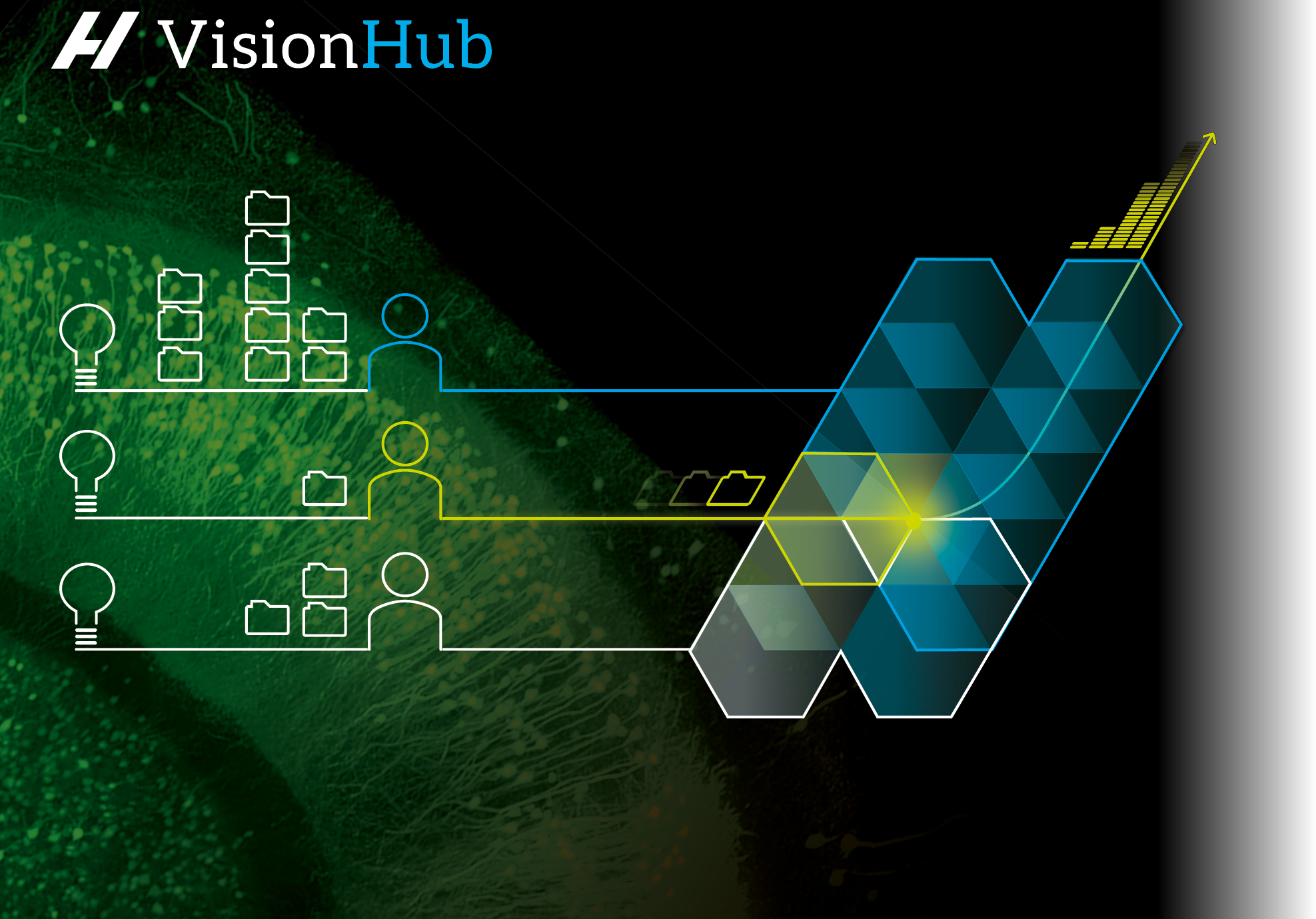 Mockup-VisionHub-fade