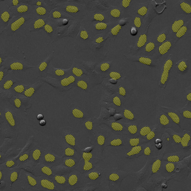 cell_counting