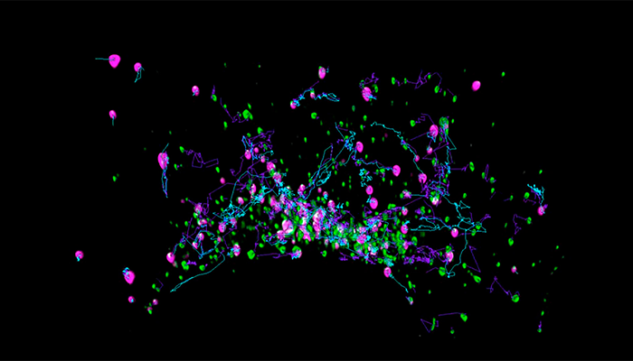 fromimagetoresults-vesicletrafficking-small