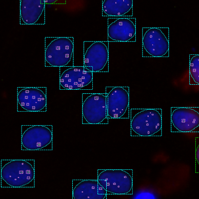 high-content-genotoxicity-1