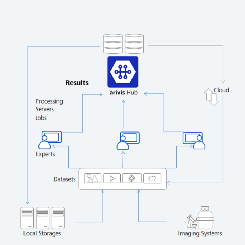 scale up your image analysis with ZEISS arivis Hub