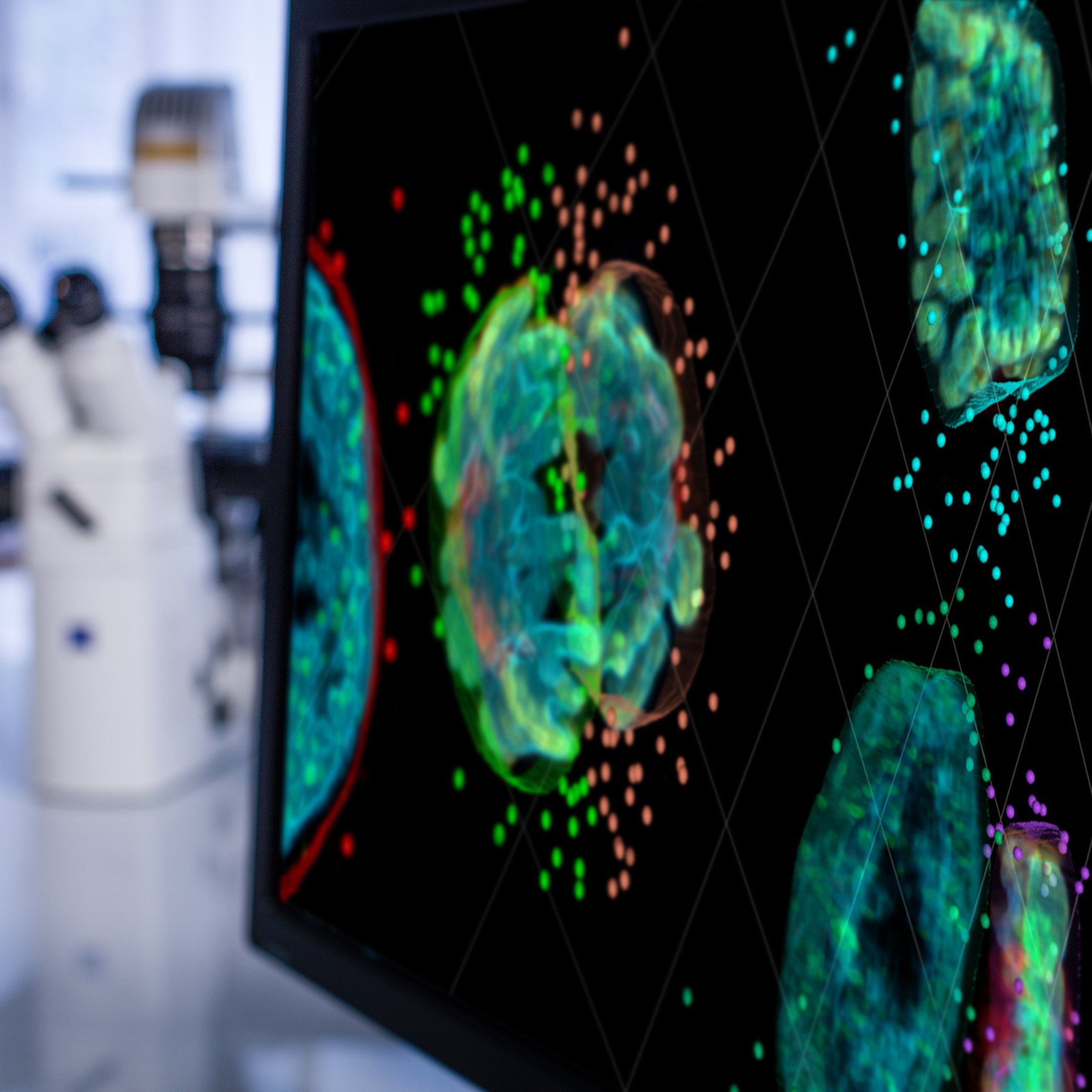 microscopy-lab-SQ